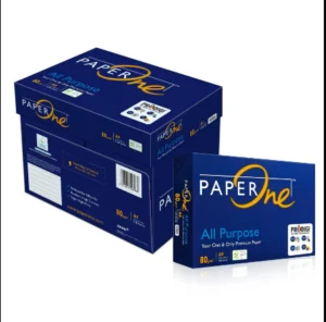 PaperOne All Purpose 80Gsm A4 Printing Paper [1BOX]