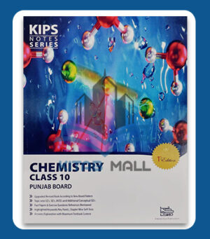 Kips Notes Series Chemistry 10th