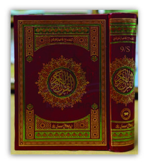 Tarjama Quran by Molana Madodi (9S)